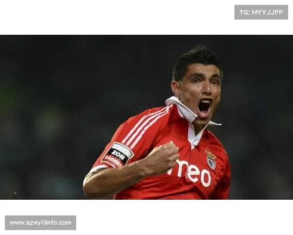 过去五年转会盈利俱乐部TOP10：本菲卡领衔，里尔次席